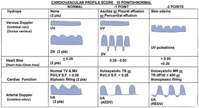 Advanced imaging of fetal cardiac function